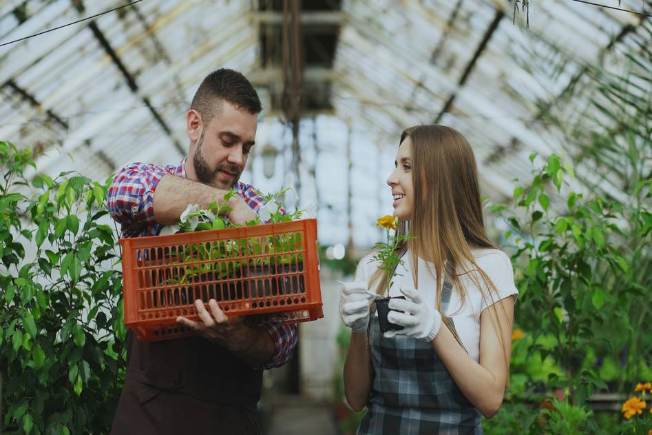 Founder kneeling beside a hand-built cold frame filled with young lettuce and kale