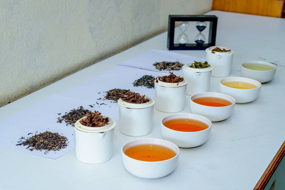Fresh turmeric, ginger, and herbal teas arranged on wooden table with copper bowl, symbolizing Ayurvedic ingredients for weight loss